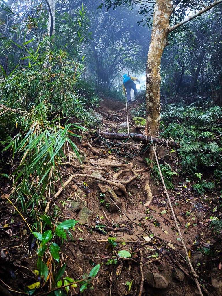 2025-03-08 汶水三山：金童山、汶水山、玉女山 連走_2736510