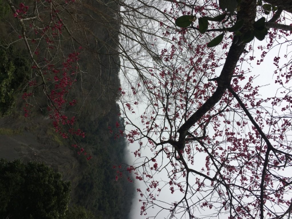 鳥嘴山（上島_2708543