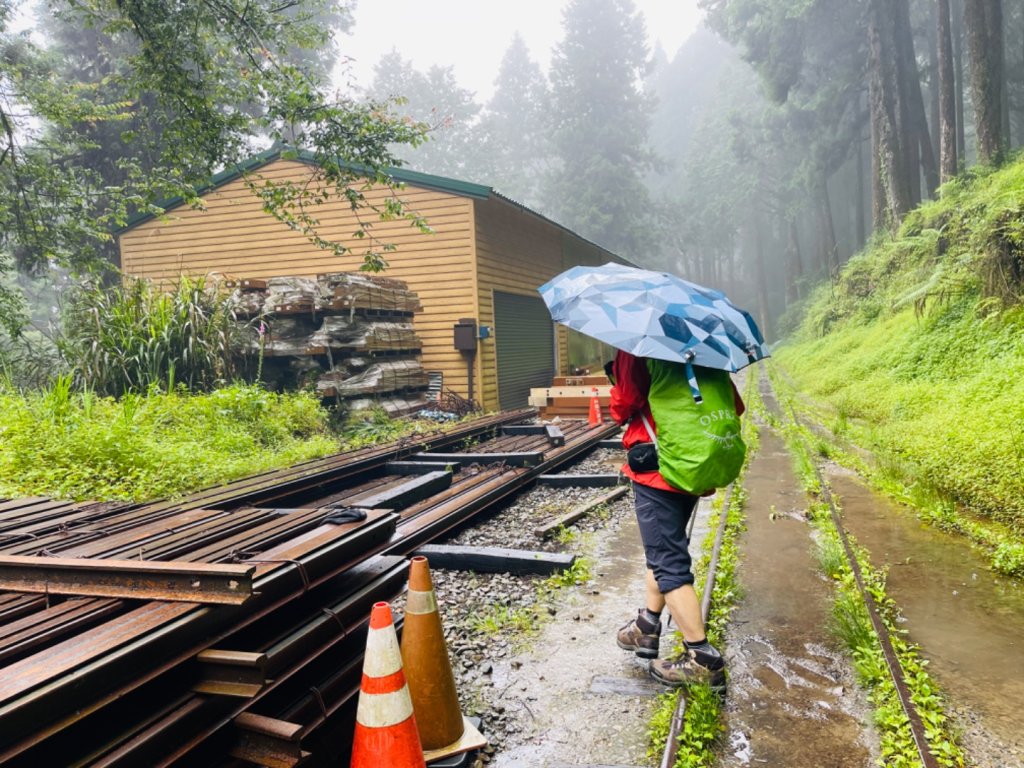 1130610水山巨木步道O繞_2523660