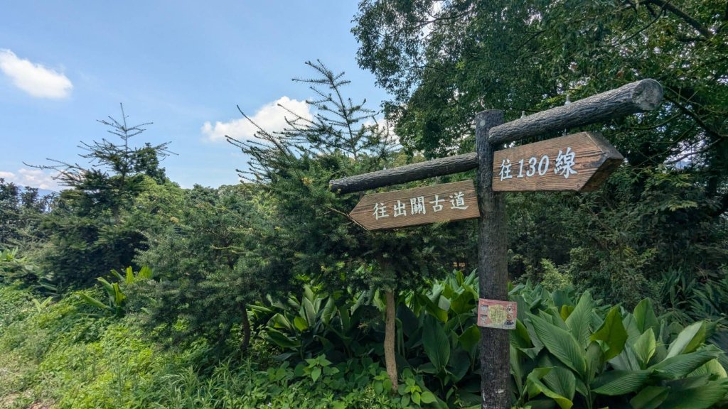 關刀山步道 (出關古道：聖關段)_2532827