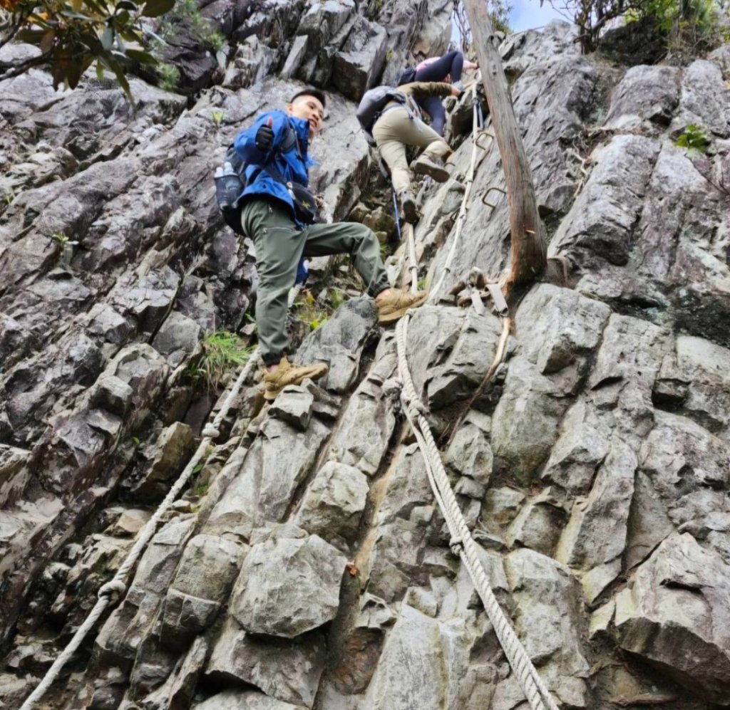 【中級山縱走】最美中級山，鳶嘴西稜縱走（鳶嘴山，醜崠山，長壽山）_2741369
