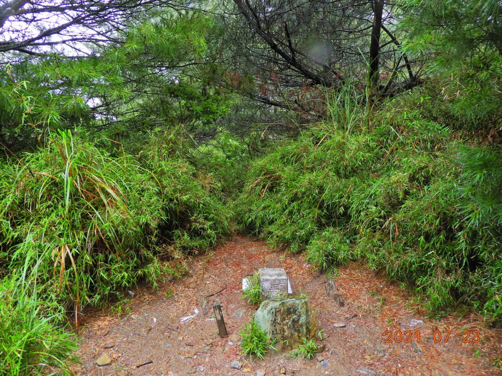 花蓮 秀林 卯木山_1429265