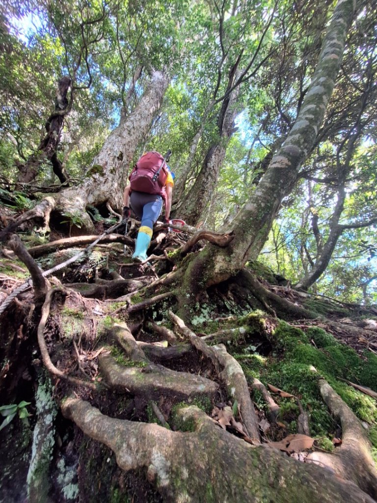 嘎色鬧上那結山_2575542