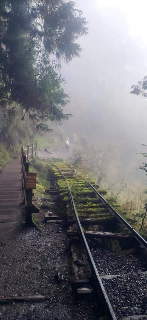 見晴懷古步道 -- 霧茫茫的景色_1318667