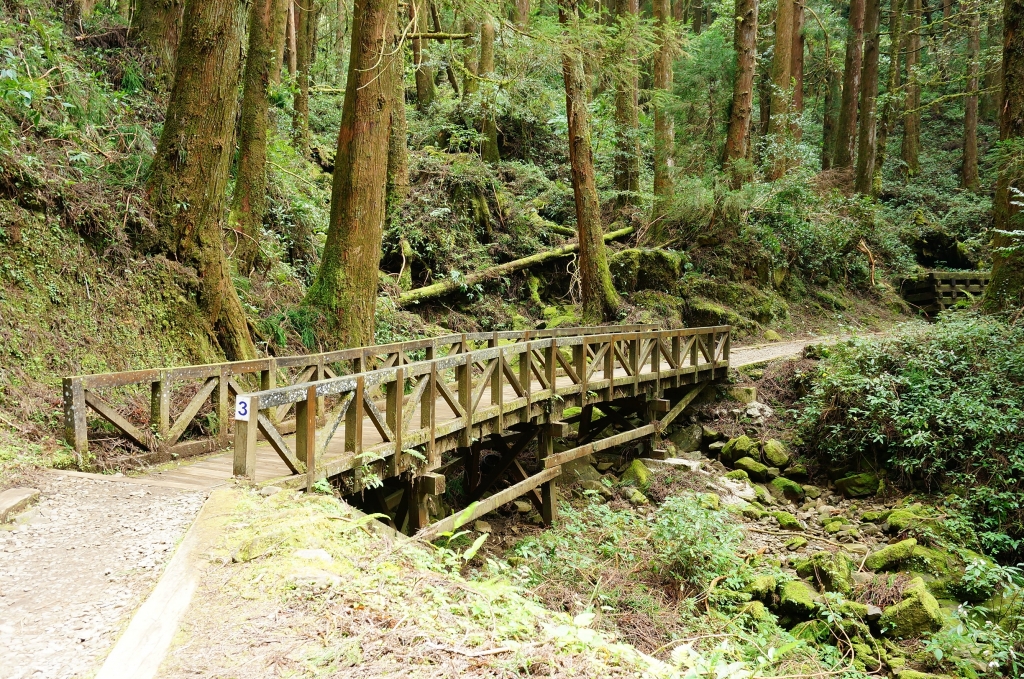 特富野古道_91014