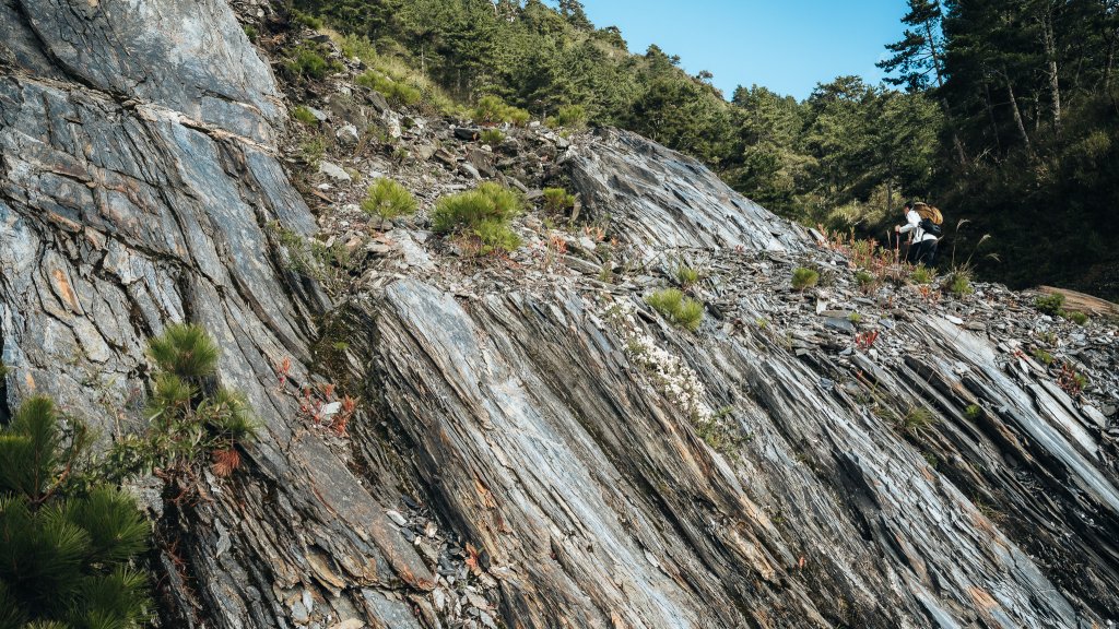 南橫百岳—關山嶺山_2383865