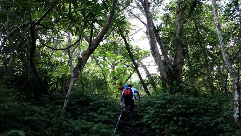 【春夏之際】我在那結山頂喜見雲瀑_17553