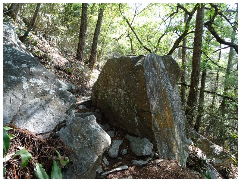 谷關七雄/東卯山4_1321173