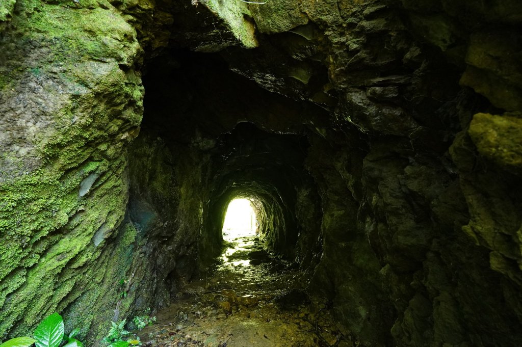 新北 平溪 薯榔尖、石筍尖、魔神仔洞_2772549