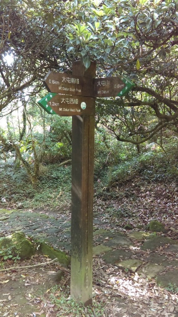 【臺北大縱走2】大屯山主峰、南峰、西峰_914113