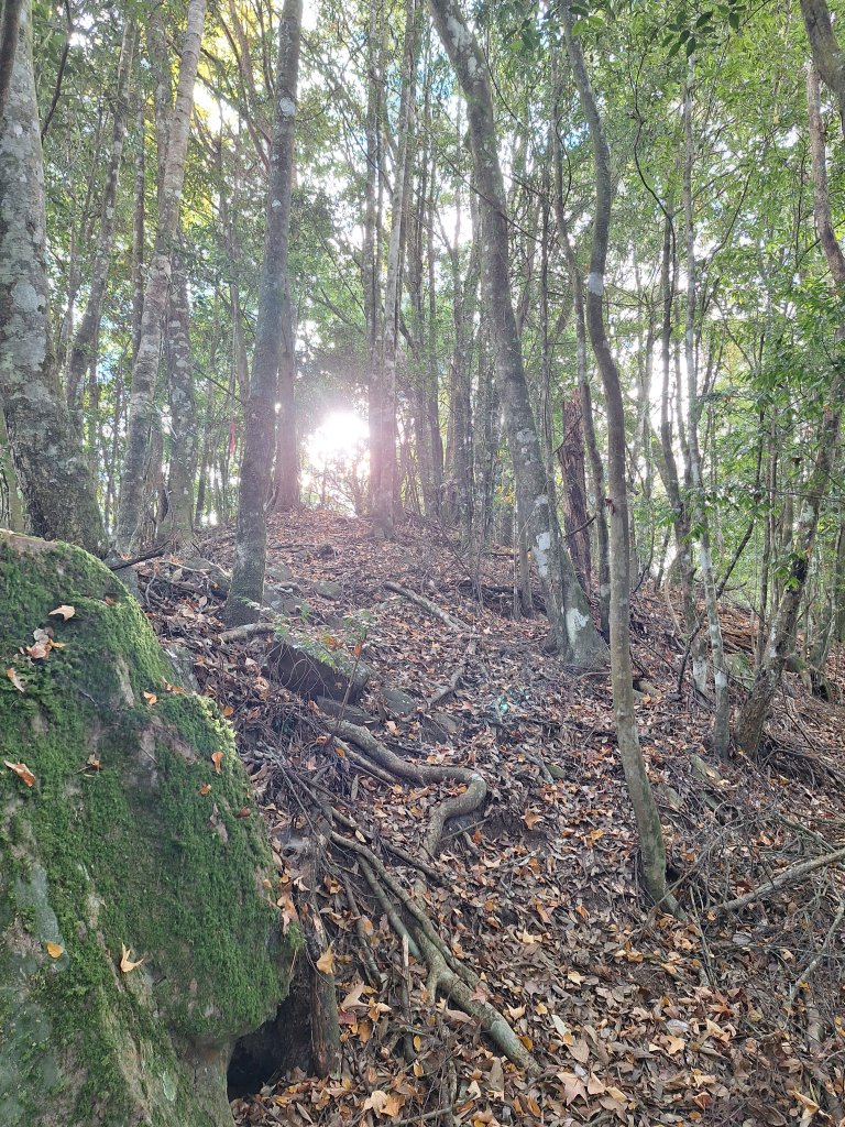 盡尾山20251225_2971996