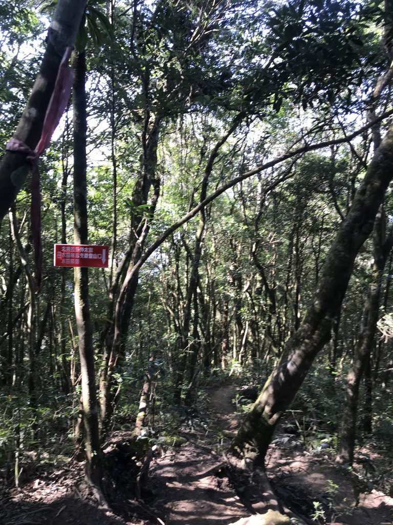 內鳥嘴山→ 那結山→ 外鳥嘴山 O形縱走_1261865