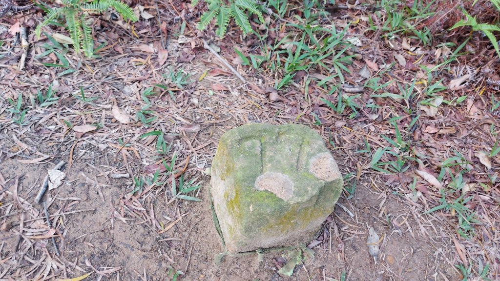 丹鳳山  ，北投真言宗石窟建築群（弘法大師岩），特殊地質景觀-隆升巖床虎穴，中和禪寺_2114257