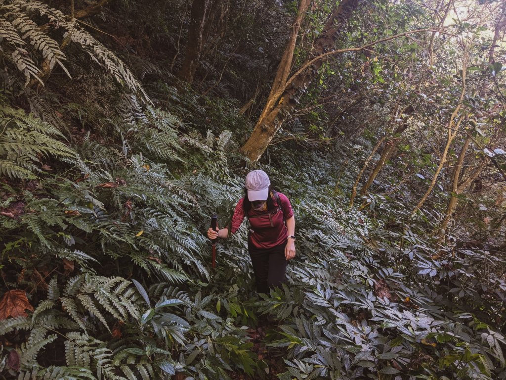 【三地、舊達來】獵人不走的路 - 田良井_1514592