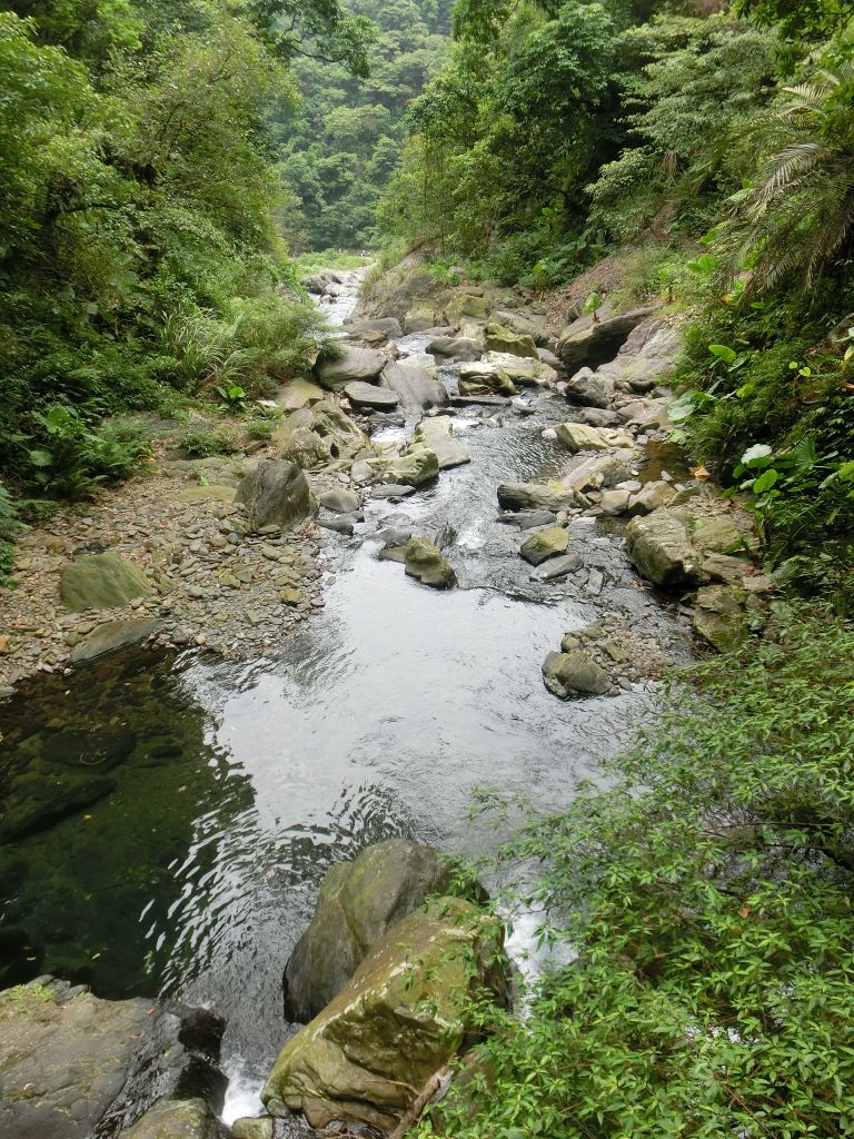 新寮瀑布．仁山植物園_373849