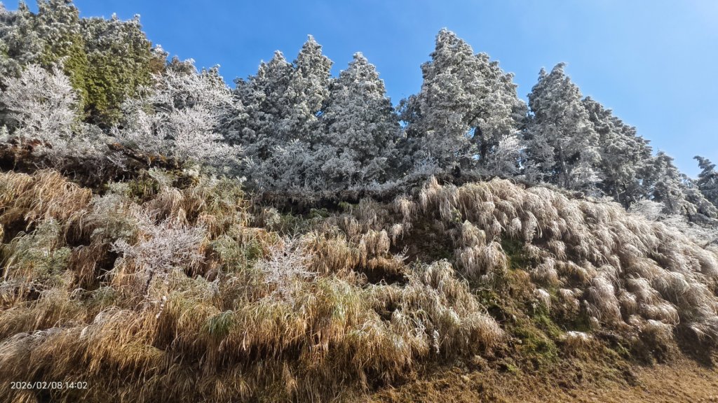 #霧淞 #雲海 #雲瀑 #霧虹 #太平山 #望洋山 #觀雲步道 #翠峰道路  2/8_2995235