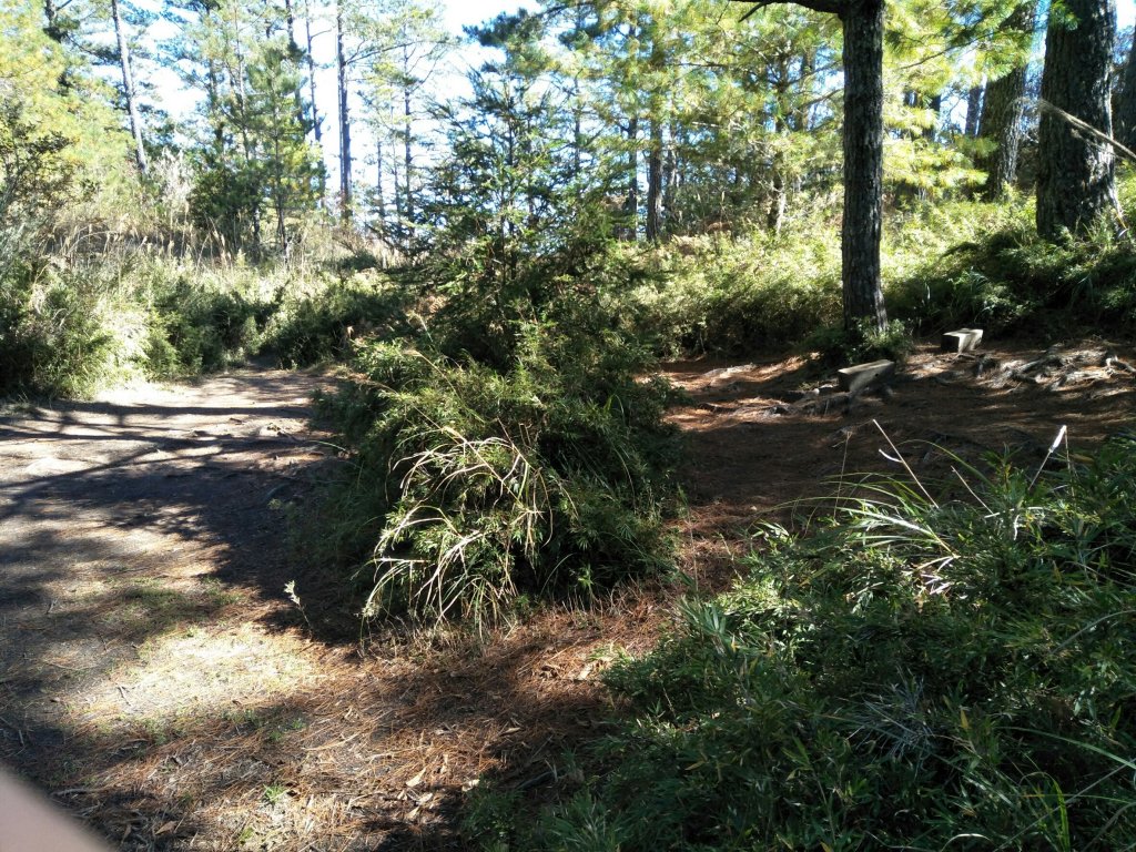 志佳陽雪山之毅_465939