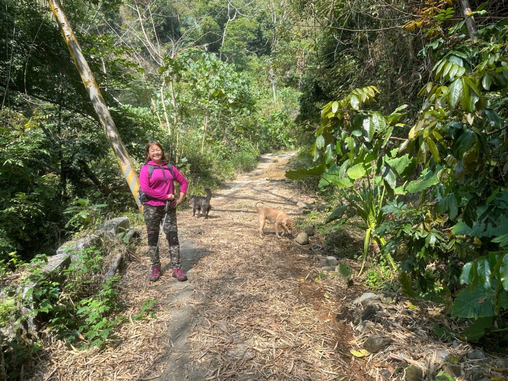 高雄美濃月光山_2734904