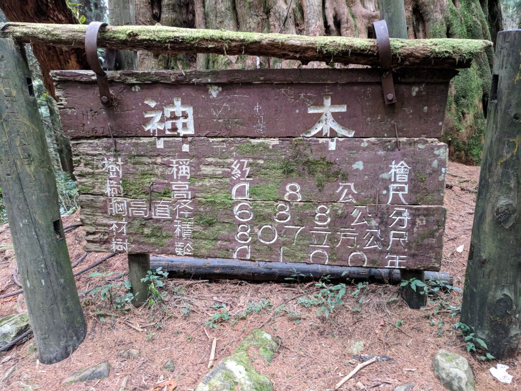 先苦後甘的水漾森林_284342