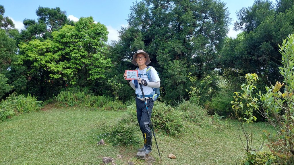 幽林雅徑夢幻古道，綠茵草原牧牛桃花源_1992762
