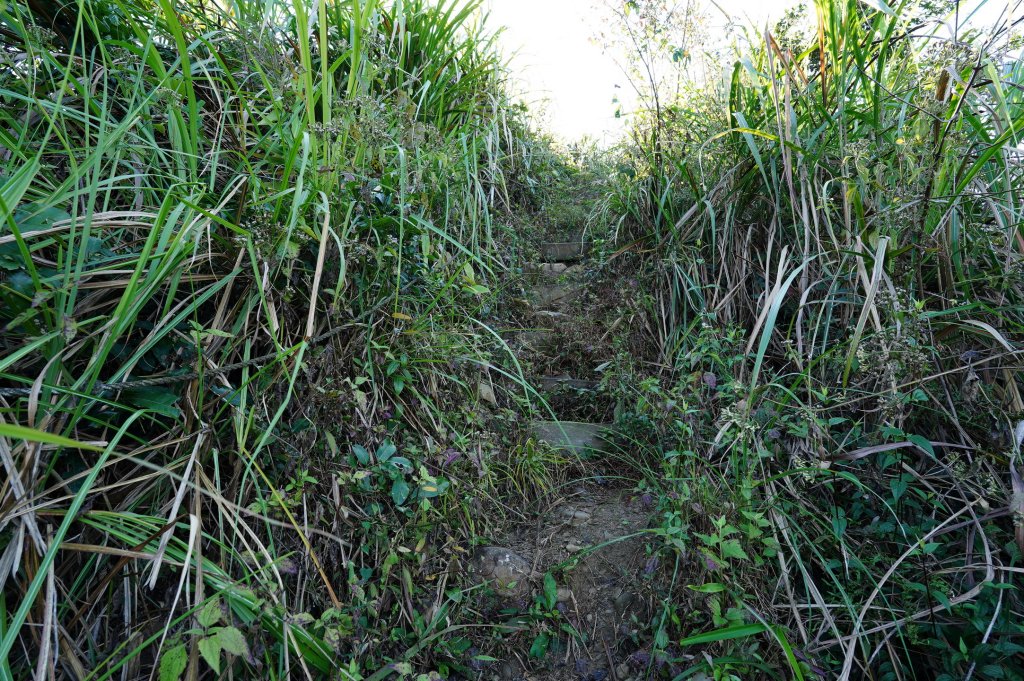 臺中 霧峰 奧山、砲台山_2715380