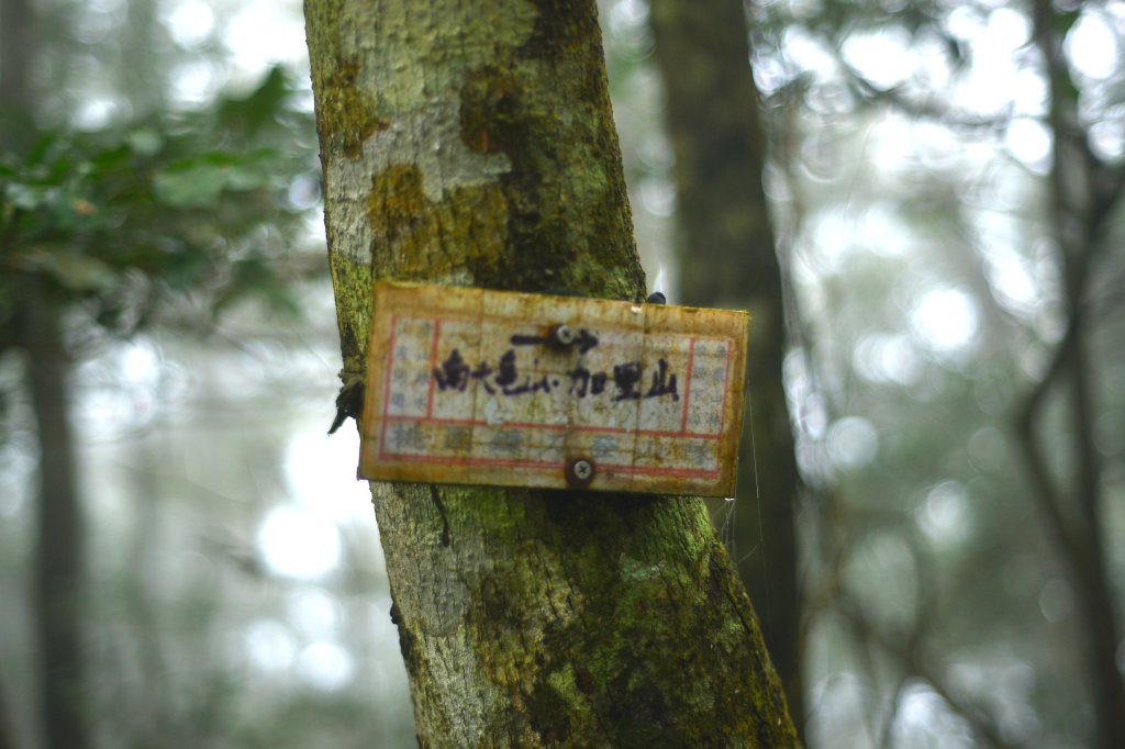 向天湖山步道 (大 O：含三角湖山、光天高山)_2664940