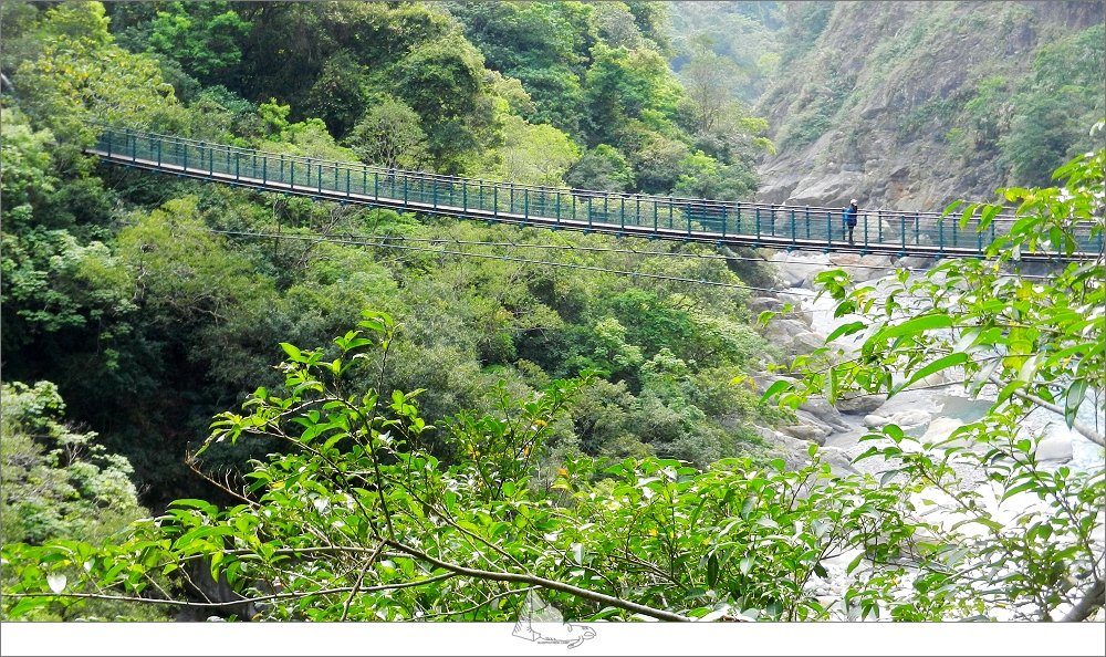 【登山健行│花蓮秀林】健行旅記，錐麓古道_965419