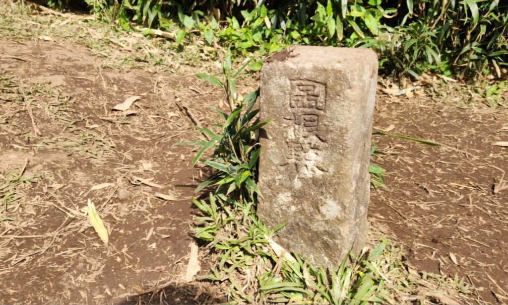 【中級山】台北版抹茶山竟然有免申請路線，小觀音山西峰單攻，順遊頂湖海芋步道，竹子湖黑森林_2742385