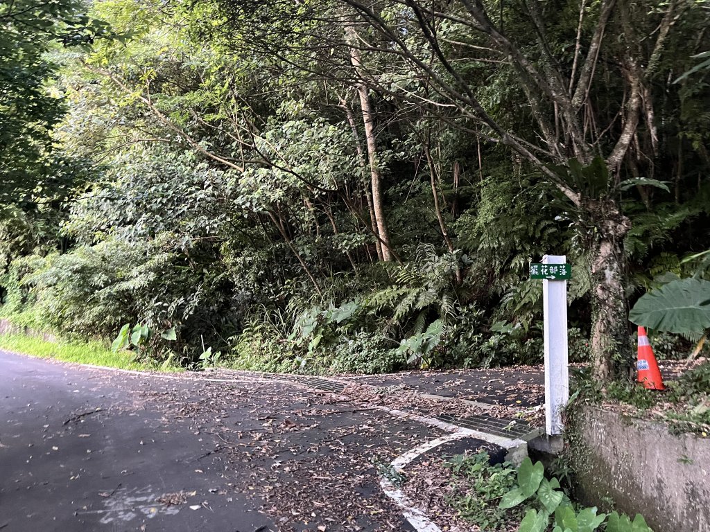 [山頂鳥40周年會員大縱走-08/15] 2024_0715 銀河洞越嶺登山步道_2556851