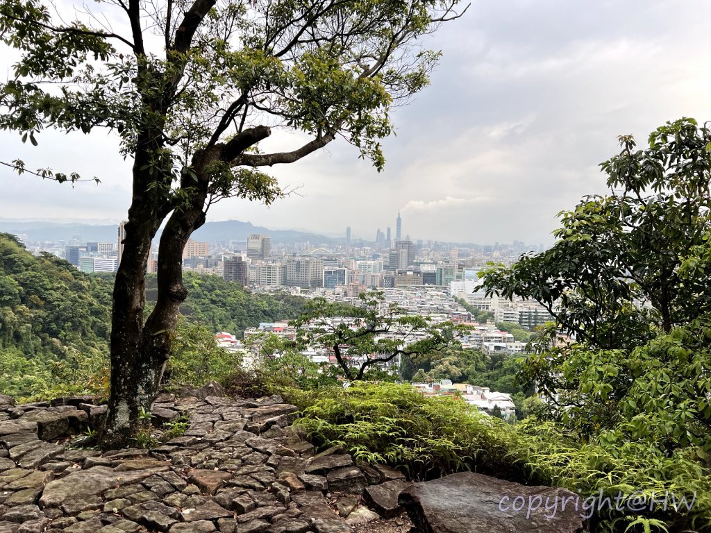 踢不爛大地遊戲-金面山_2496064