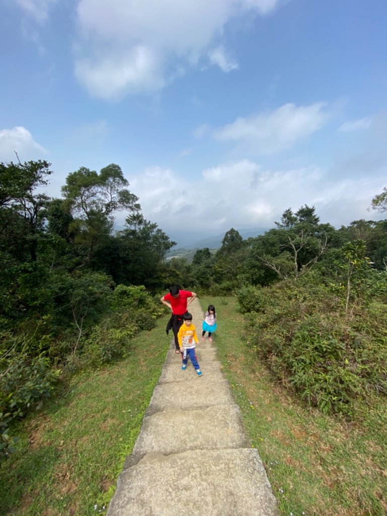 20200301桃源谷步道內寮線_868930