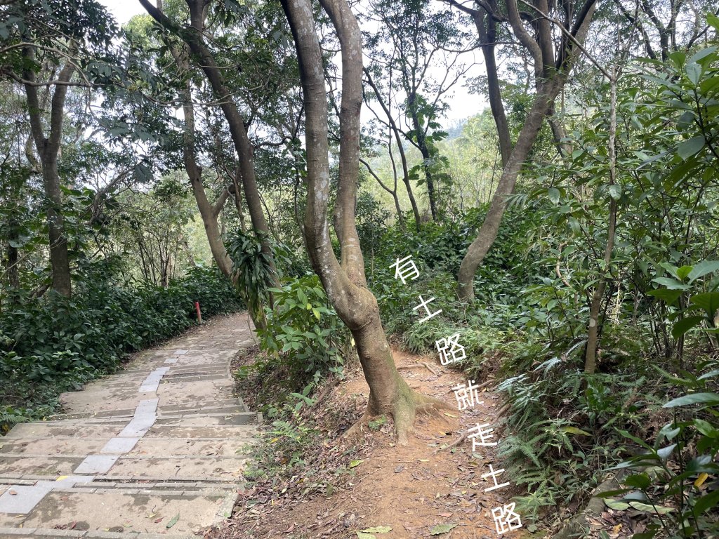 2024臺北大縱走第五段來回走_2447869
