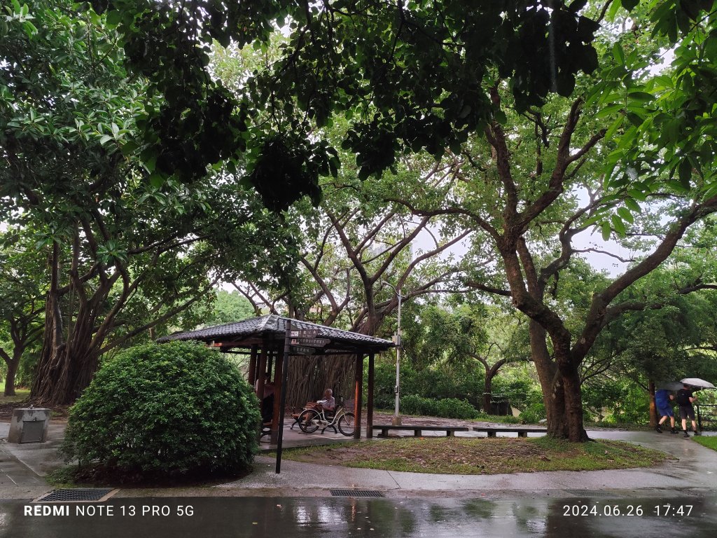 大安森林公園、寧夏夜市、士林夜市【走路趣尋寶】【臺北健走趣】_2536329