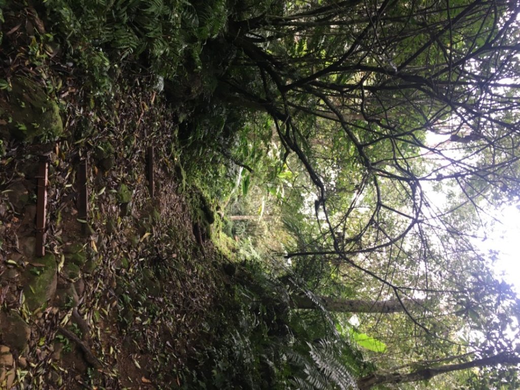 38溪洲山_2729730