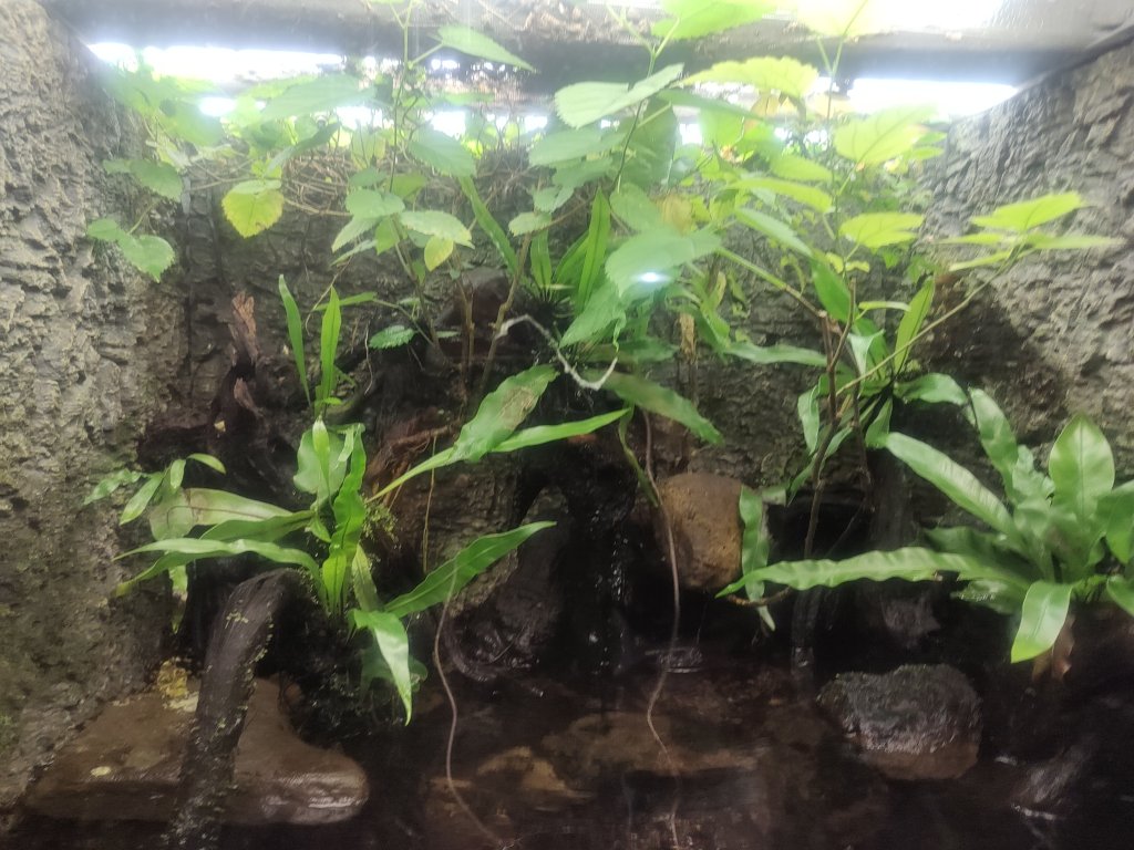 台北動物園_2663972