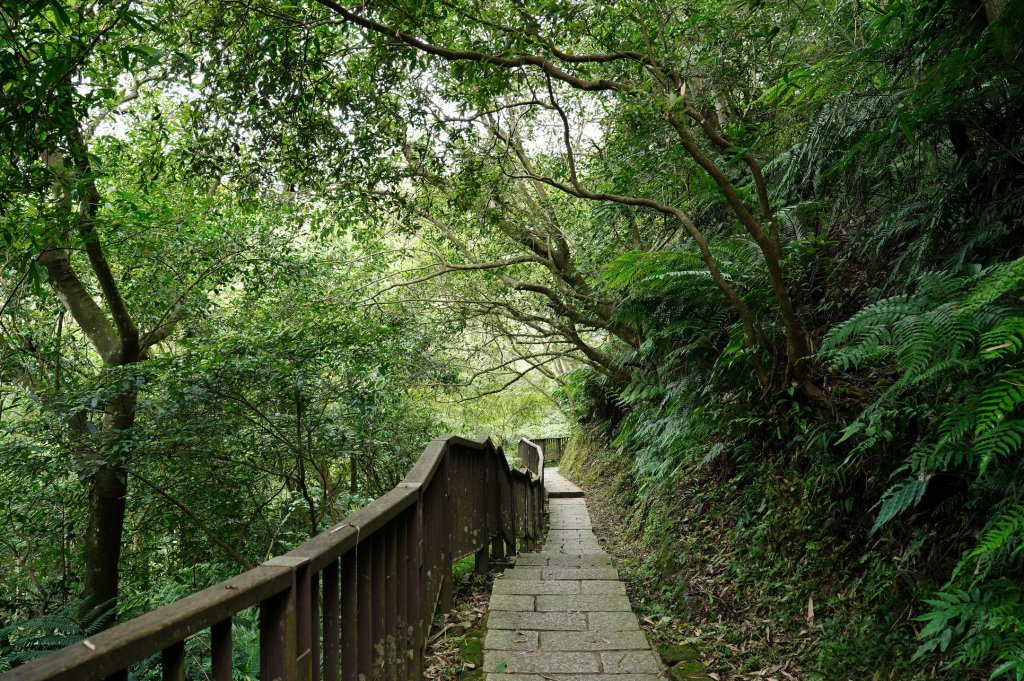 臺北 南港 南港山、拇指山、象、獅、豹、虎、四分里山、茅草埔山_2803418