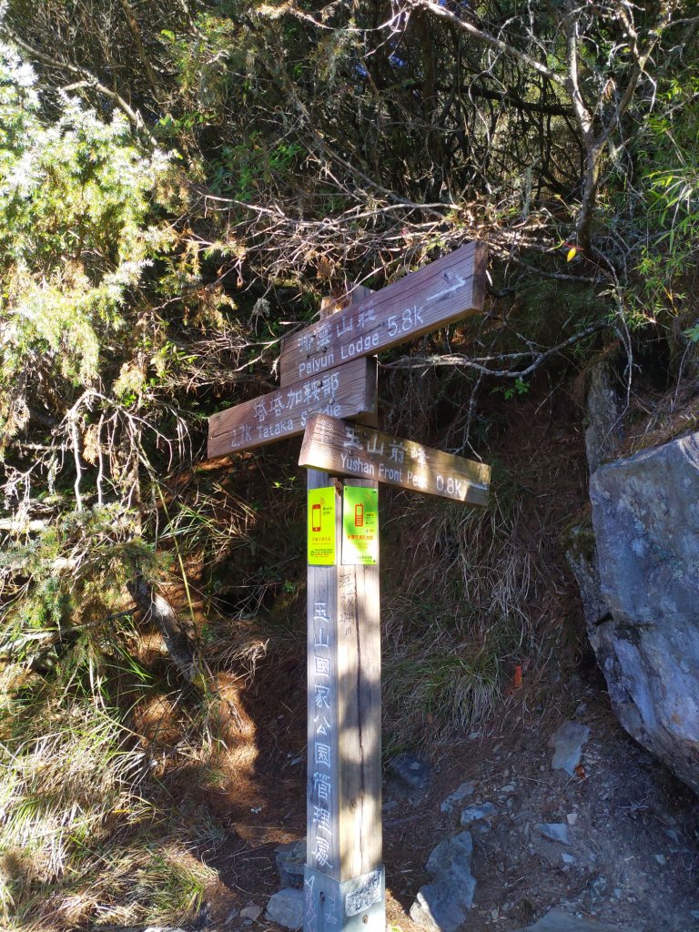 玉山 20220305_1730824