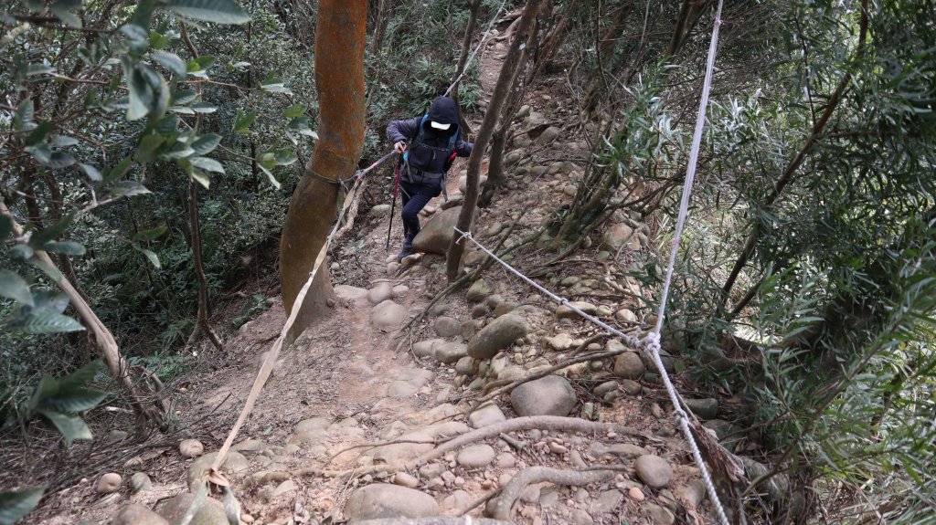 火炎山縱走慈濟茶園登山健行趣(小百岳35號)_2022895