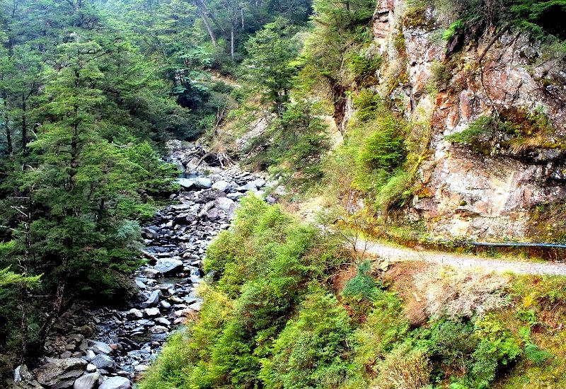 山風15度C吹拂 ~ 合歡溪 步道_1551748