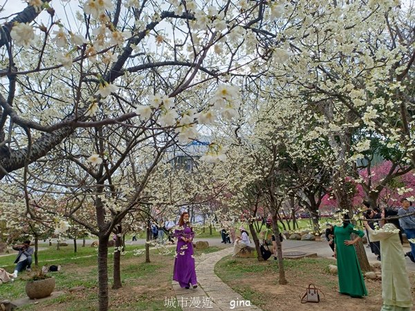 【台中后里】春日賞花。崴立機電櫻花公園_2441588