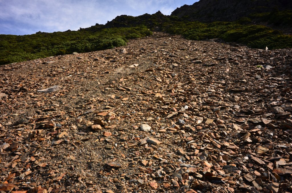 1090919 一日玉山主峰之行_1105491