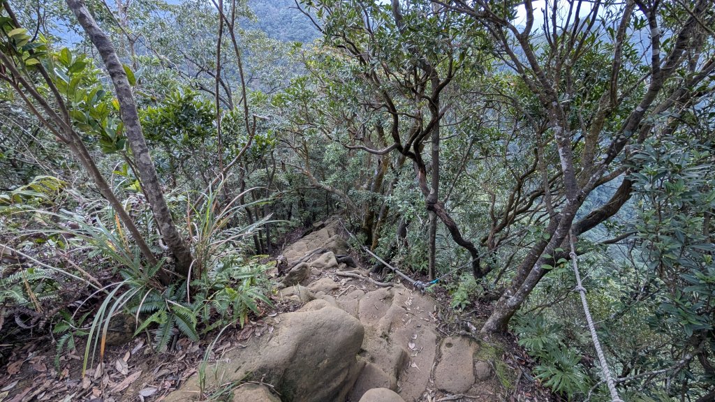 114.12.14黃帝殿西峰-天王峰-黃帝殿東峰之旅_2962102