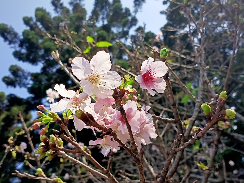 中正紀念堂、臺北信義商圈步道尋寶趣【齊心鞋力、益起行走】_2011356