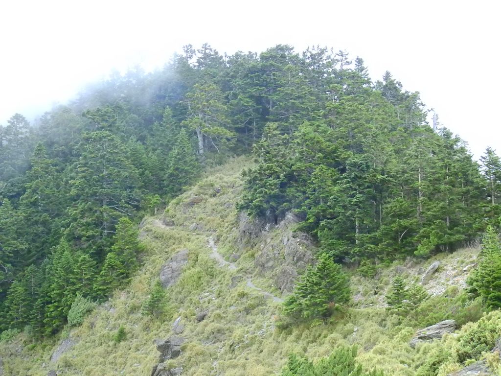 玉山西北主_174560