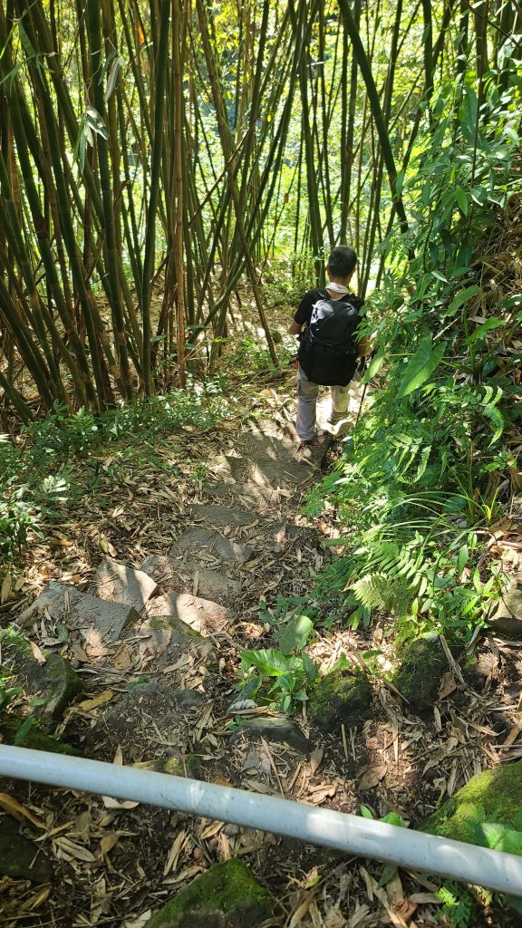 2026-0213 苗圃-凱達格蘭山-七星錐-七星山南峰-小油坑-竹子湖-水車寮步道-湖田猴崁步道-_3005731