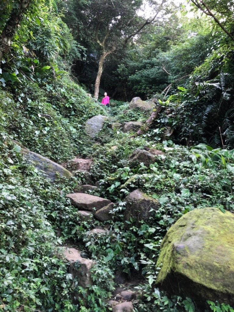 南港山攀岩步道封面圖