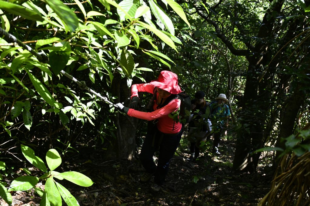 灣坑頭越嶺：吾居吾墅連走大嶺古道_1491715