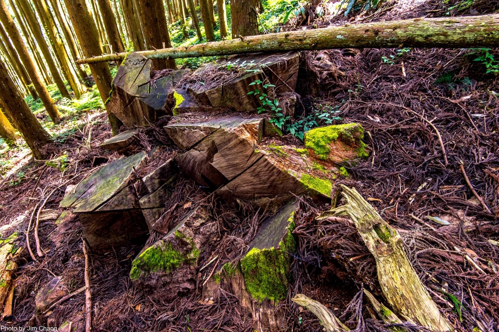 新竹五峰民都有山_53558