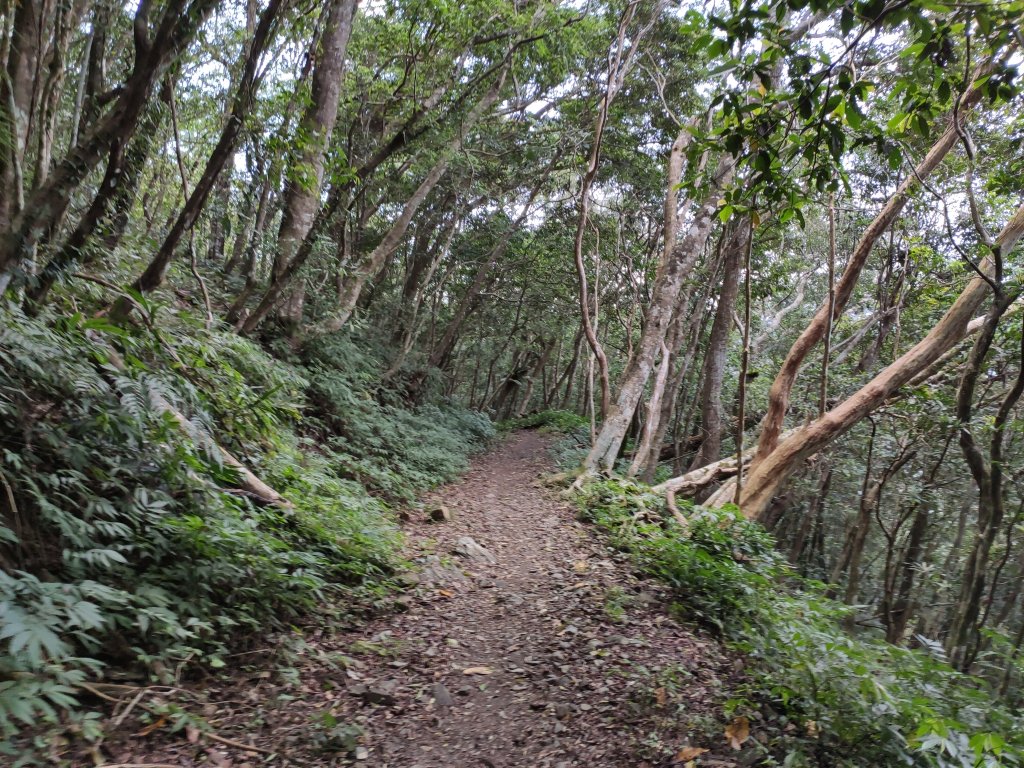 枋寮浸水營古道到台東大武車站_874216