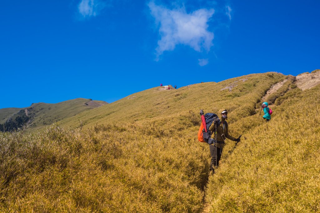 合歡北峰＋小溪營地～野營初體驗_1741308
